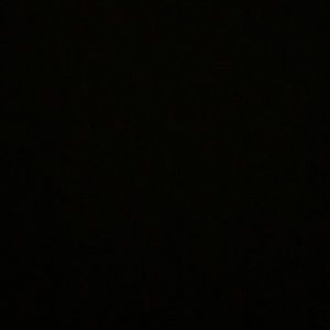 Meet your Posher, Tiana